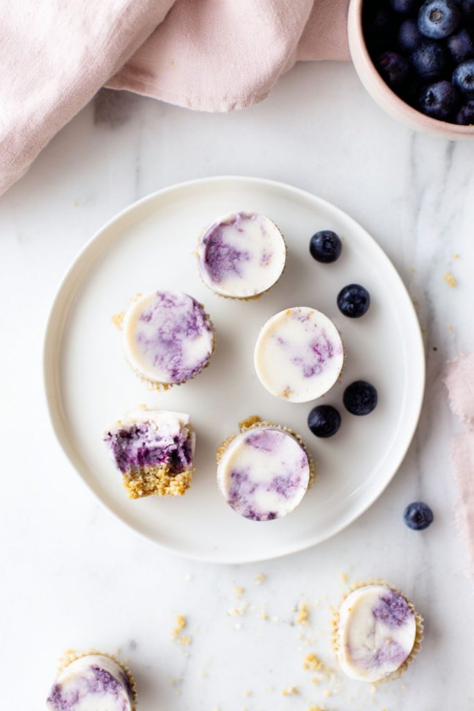 Blueberry Cheesecake Freezer Bites